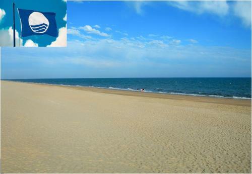 Apartamento Cerca Del Mar