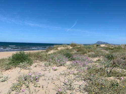 Apartamento Garden Poligono 5 - Junto A La Playa