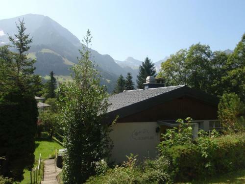 Apartment Schwalbe