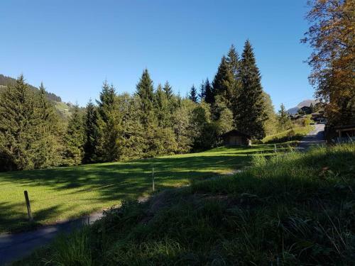 Apartamento Chalet Gr�neggli