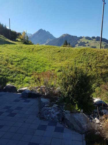 Apartamento Chalet Gr�neggli