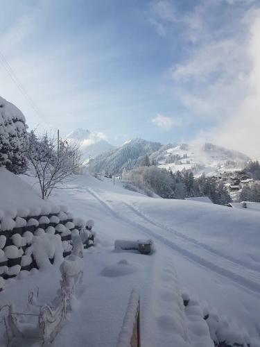 Apartamento Chalet Gr�neggli