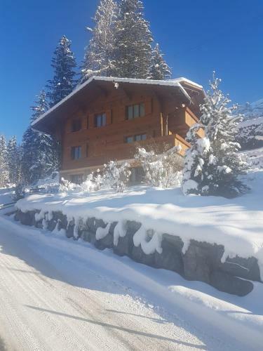 Apartamento Chalet Gr�neggli
