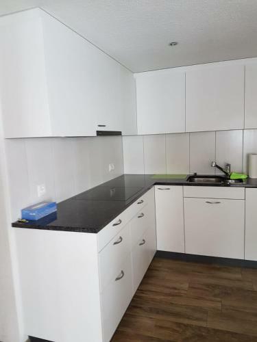 Apartamento Chalet Gr�neggli