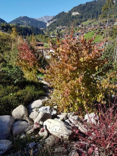 Apartamento Chalet Gr�neggli