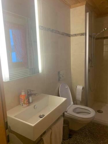 Apartamento Gassi 4 Adelboden