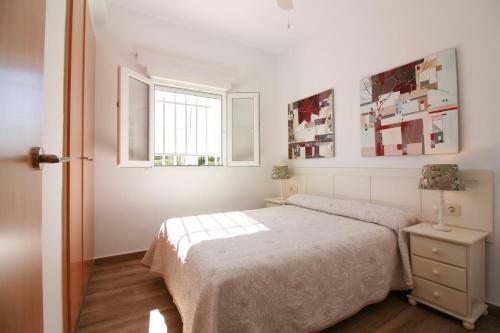 Oliva Holidays 4