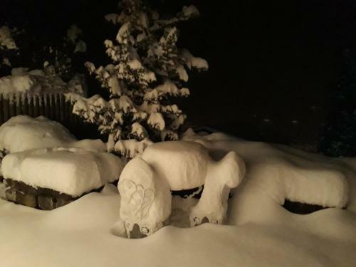 Apartamento Chalet Gotthelf Gartenstudio, Ferien Mit Hund