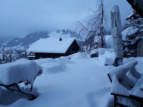 Apartamento Chalet Gotthelf Gartenstudio, Ferien Mit Hund