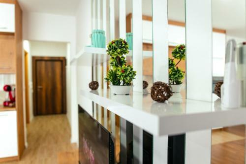 Nb Apartmani