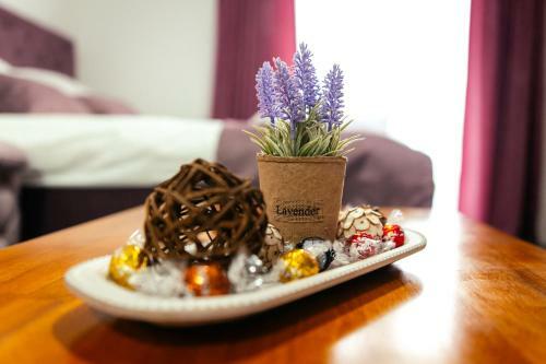 Nb Apartmani