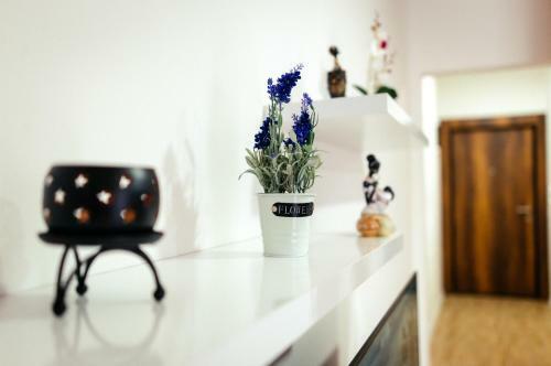 Nb Apartmani