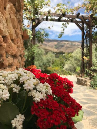Hotel Kaliyoga Retreats