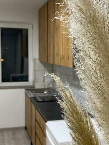 Modern Lux Apartment