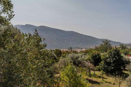 Villa Jacaranda Con Piscina Privada
