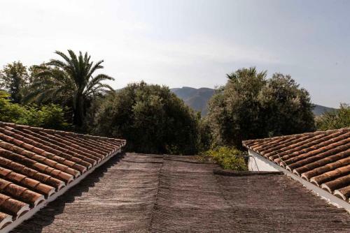 Villa Jacaranda Con Piscina Privada