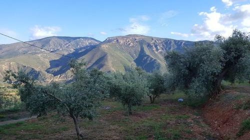Hostal Gateway To The Alpujarras, 'cortijo Derry'