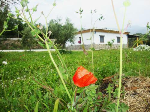 Villa Casa Rural La Chumbera