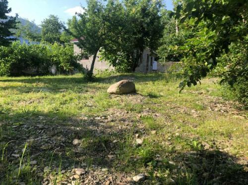 Gabala Home