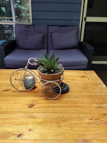 Bed & Breakfast Buderim Forest Hideaway