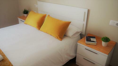 Apartamento ***** Solaina Das Burgas ***** En El Casco Viejo