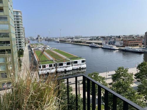 Apartamento One Of A Kind Skyview Apt Overlooking Mas