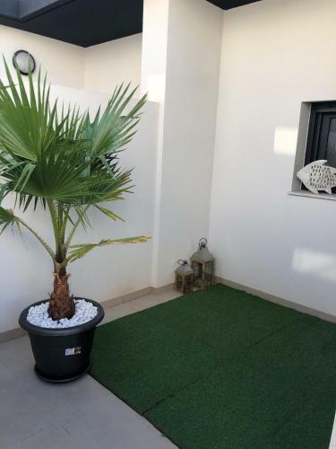 Apartment Villamartin