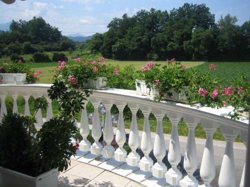 Apartamentos Villa Ros�