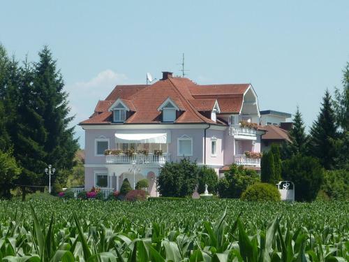 Apartamentos Villa Ros�
