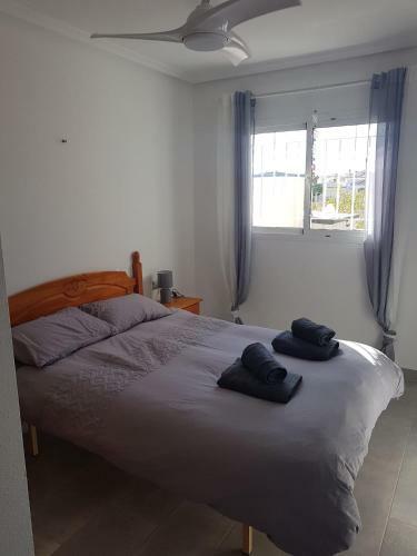 Apartamento Zeniamar