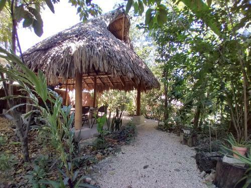 Hostal Guarumbo
