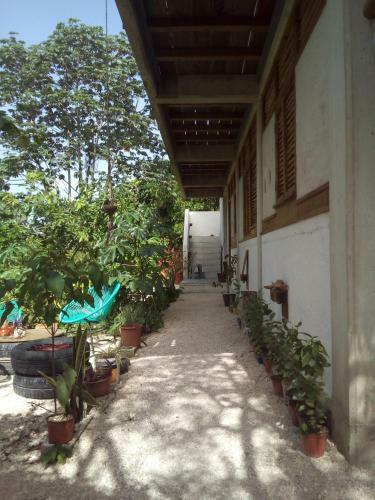 Hostal Guarumbo