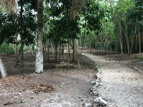 Villas Bizu Lagoon