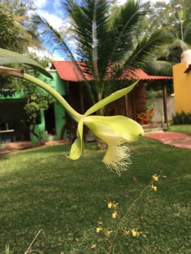 Lodge Caba�as La Fortuna Bacalar