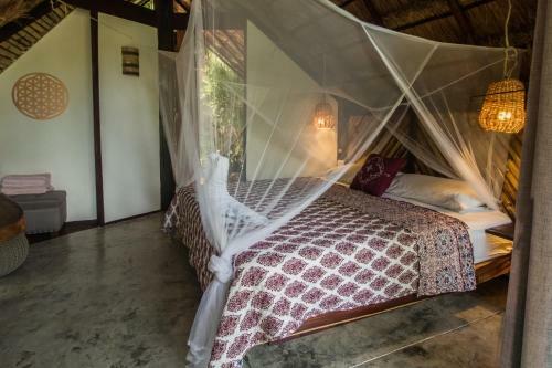 Lodge Amaca Bacalar