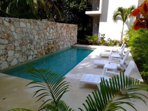 Apartamento Departamento Sue�itos En Bacalar
