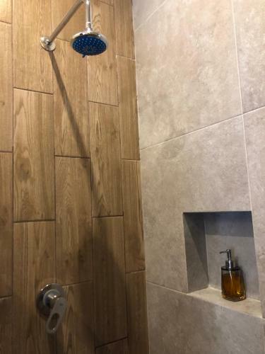 Apartamento Departamento Sue�itos En Bacalar