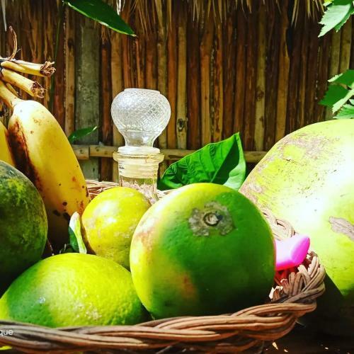 Hostal Caba�as Alma Verde