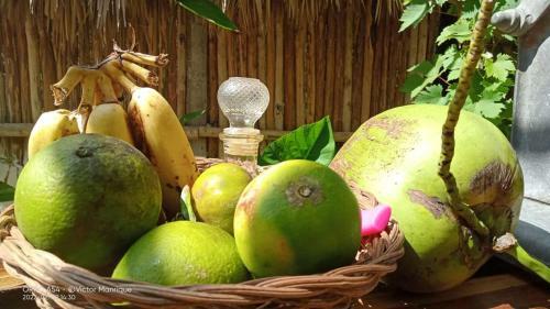 Hostal Caba�as Alma Verde