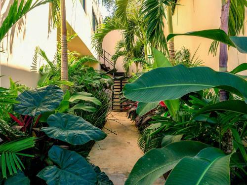 Aparthotel Mayanah Condohotel Bacalar By Rotamundos