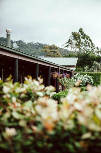 Bed & Breakfast Trevean Boutique Accommodation