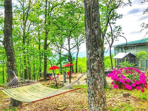 Tree House Cabin - The Original