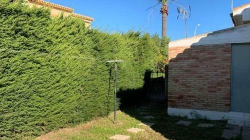 Apartamento Orihuela Sima