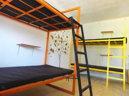 Chakpool Hostal & Camping