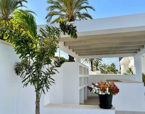 Luxury Seaside Villa With Private Pool In Cabo Roig