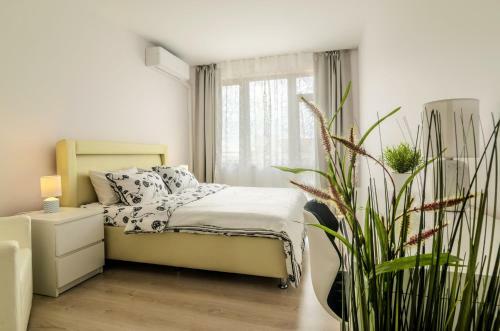 Lighthouse Golf & Spa,1 Bedroom Superior Apartment Golf View