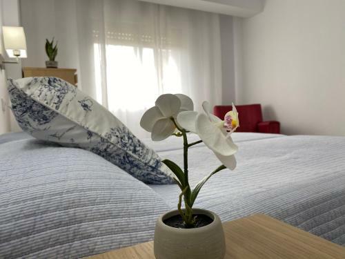 Apartamento Padr�n Centro, Camino de Santiago Ll By Urent
