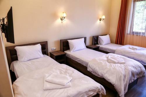 Hotel Sofya