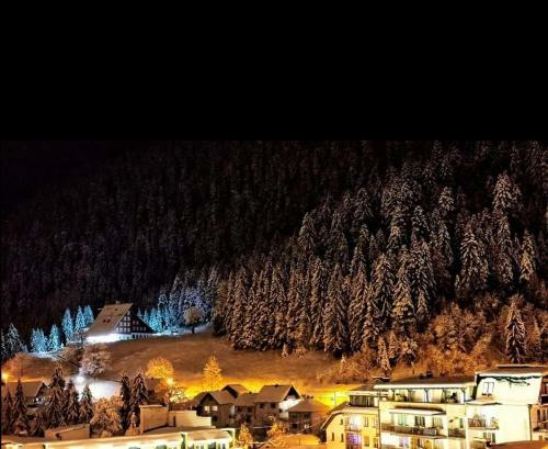 Apartman ?ajni?e