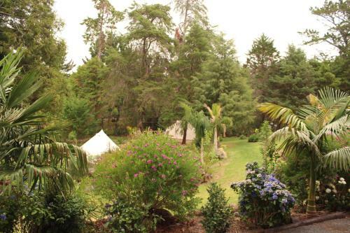 The Luxury Honolulu With Private Bar At Paradise Valley Glamping